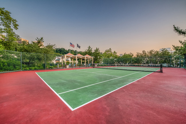 Canchas de tenis - Windsor at Mariners