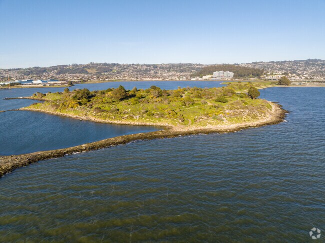 Scenic view of the Albany Bulb.