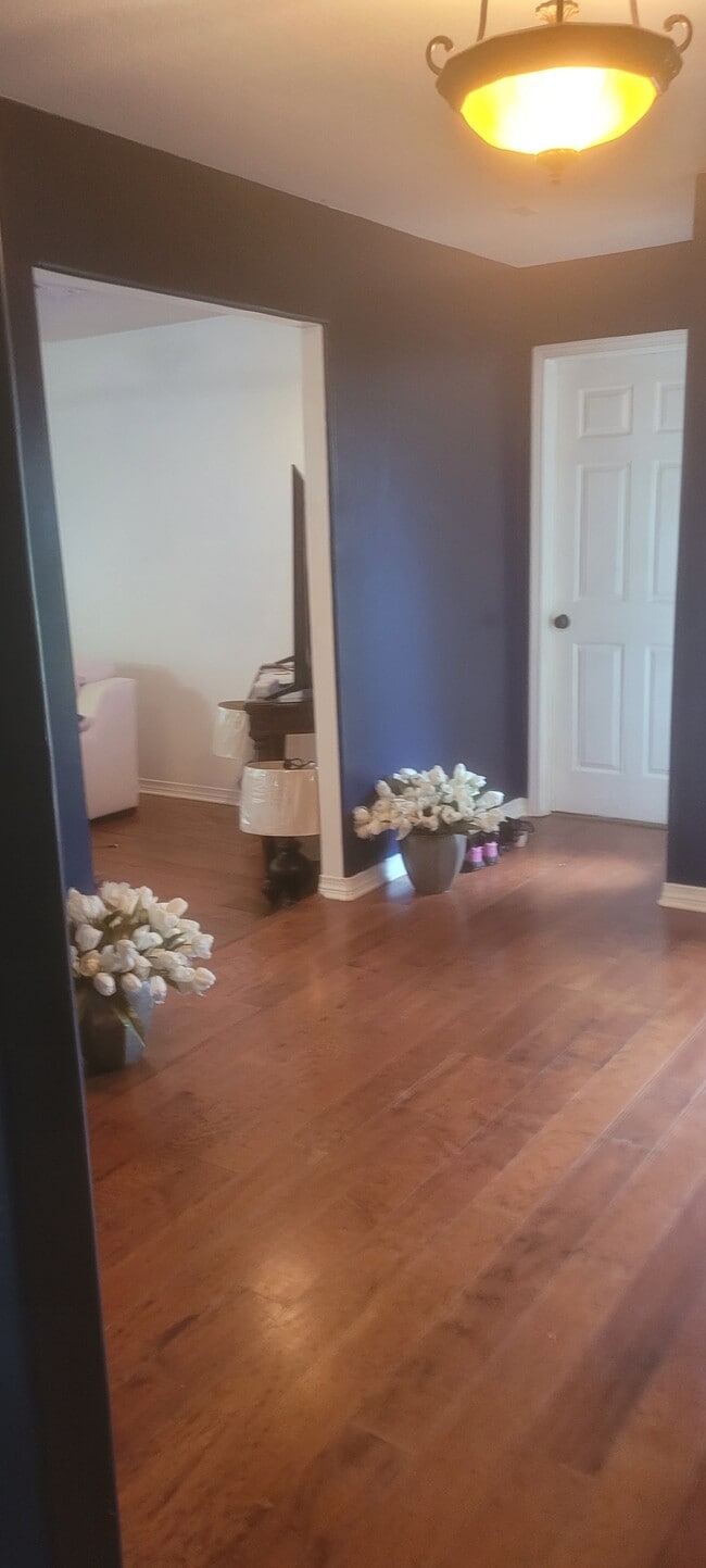 Photo - 33 56th St House