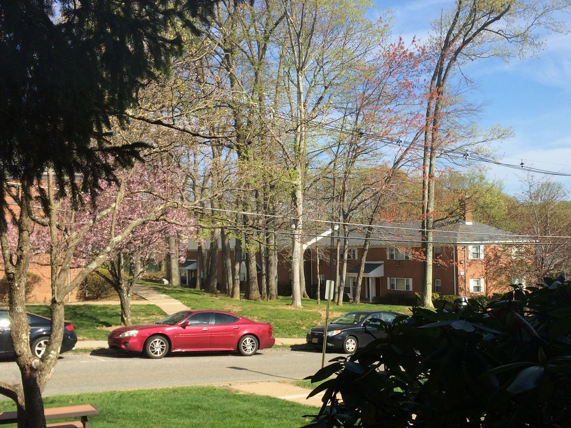 Beautiful views from living room - 1 Fox Chase Ln