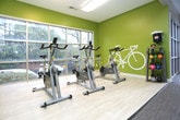 This single-floor fitness center is designed to provide a comprehensive workout environment with a motivating and energetic atmosphere. The space is anchored by striking vaulted ceilings that lend an open, airy feel, complemented by ceiling fans and recessed lighting throughout. Large windows line the walls, flooding the interior with natural light and offering views of the surrounding outdoor area.

The main workout floor features durable, textured carpet flooring and is outfitted with a robust selection of cardio equipment, including treadmills and elliptical machines by True Fitness, all positioned to take advantage of the expansive window views. A dedicated free weight zone houses a full dumbbell rack alongside adjustable benches, while a cable machine provides versatile strength training options. TRX suspension training straps are also available for functional fitness workouts.

A separate alcove with bright green accent walls and hard-surface flooring serves as a cycling and stretching studio, equipped with stationary bikes. Motivational wall decals, including bold phrases like "MAKE IT HAPPEN" and "WAKE. RUN. LIFT. EAT. SLEEP. REPEAT," energize the space and reinforce its fitness-focused purpose. A wall-mounted flat-screen TV adds a multimedia element to the main area. The facility is rounded out by direct exterior door access, making it convenient and welcoming for all users.