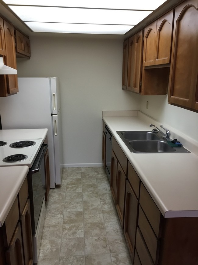 Building Photo - 286 W Palomino Dr