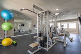 Located at 16202 El Camino Real in Houston, Texas, this single-floor fitness center is designed to accommodate a comprehensive range of workout routines. The main exercise area features durable rubber flooring throughout, recessed lighting, and a textured ceiling, creating a clean and functional environment. A full-length wall mirror visually expands the space and supports form-checking during workouts. The cardio zone is well-equipped with multiple treadmills, an elliptical trainer, and a stair climber, all positioned near windows that allow natural light to filter into the room. On the strength training side, a multi-function cable machine, adjustable benches, and a wall-mounted medicine ball rack stocked with a variety of weighted balls provide ample options for resistance training. Exercise balls in multiple sizes add versatility for core and stability work. A wall-mounted flat-screen television is centrally positioned for entertainment during workouts. An adjoining room with warm hardwood flooring and large windows offers a bright, open area ideal for stretching, yoga, or group exercise. The space also includes a dedicated doorway corridor providing convenient access between zones. Together, these areas form a well-rounded fitness facility suited for a broad spectrum of exercise needs.