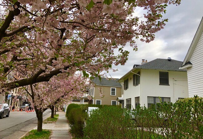 Foto del edificio - 19 Valley Rd