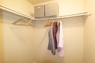 Interior Photo - Gold Coast Apartments