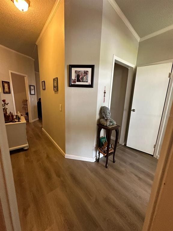 Foto del edificio - 149 Jana Cir