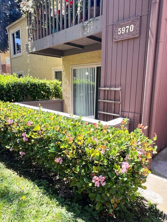 Primary Photo - 2 Bed/ 1 Bath Newly Upgraded Condo in Miss...