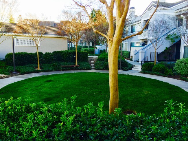 View from patio - 932 Owens Lake Drive
