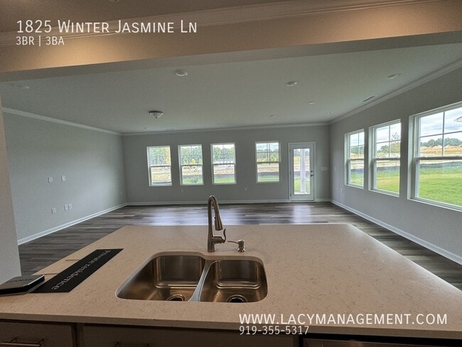 Building Photo - 1825 Winter Jasmine Ln