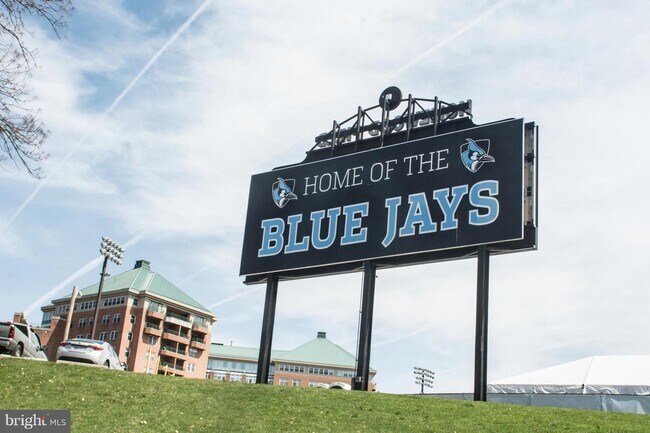 GO BLUE JAYS! - 2937 N Charles St