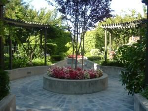 Patio - Alpine Park