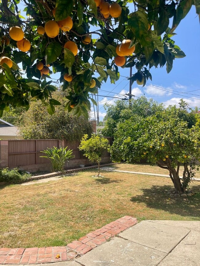 Building Photo - Updated 4-Bed 2-Bath | $4220 Mo | Large yard | Fruit Trees