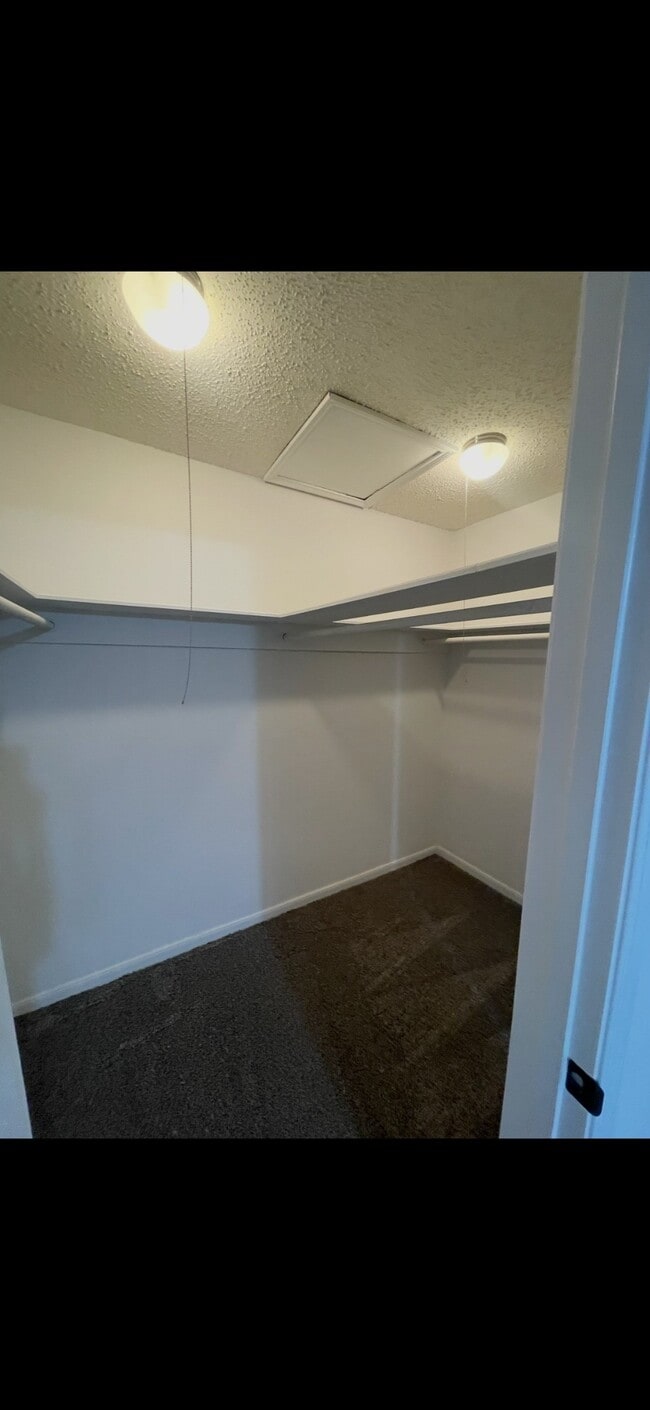 Building Photo - 700 Thicket Ln