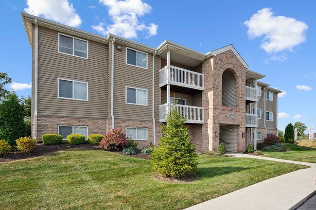 Arroyo de la miel - 04 - Honey Creek