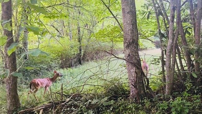 Foto del edificio - 2015 Union School Rd SW