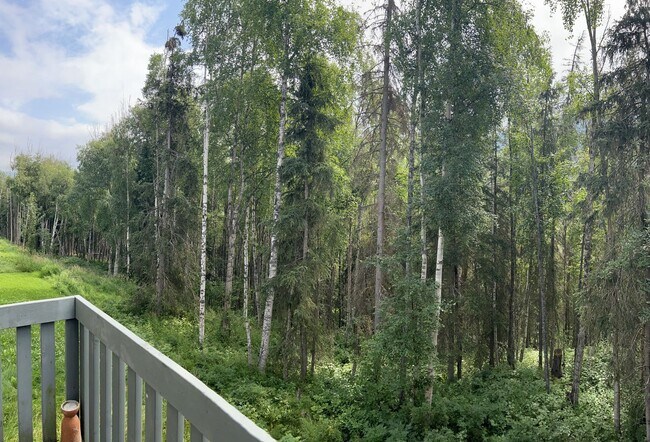 Foto del edificio - 3 bed/3.5 Baths. Eagle river.