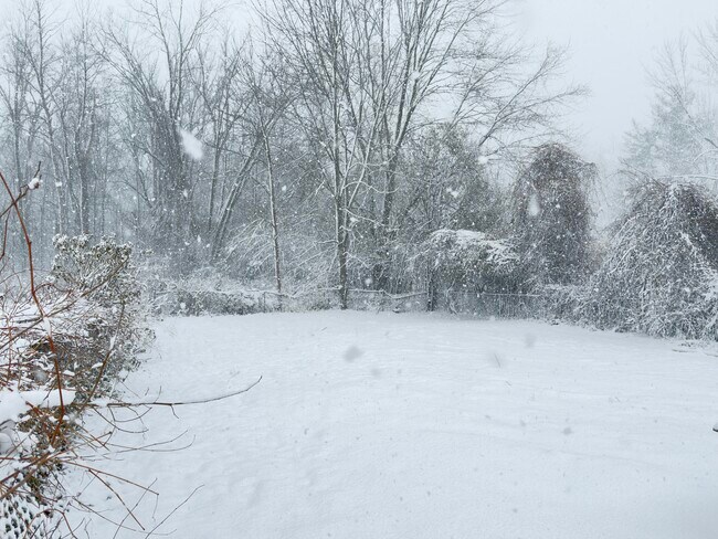 Patio - 5009 Hopkins Rd