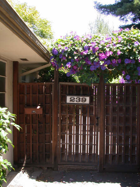 Primary Photo - 239 Kipling St