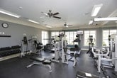 This fitness center is a thoughtfully designed, single-floor facility that offers a comprehensive workout environment. The space is characterized by its teal and soft blue accent walls, crisp white crown molding, and a light gray ceiling adorned with multiple ceiling fans that ensure consistent air circulation throughout. Large windows line the perimeter, flooding the interior with natural light and providing views of the surrounding outdoor areas, contributing to an open and energizing atmosphere.

The layout is efficiently organized to accommodate a wide range of exercise equipment. The cardio zone features a row of Life Fitness treadmills, elliptical machines, and stationary bikes positioned along the windowed walls. The strength training area includes a selection of cable machines, weight racks, and adjustable benches, offering options for both machine-based and free-weight workouts. A dumbbell rack is conveniently positioned near the entry point of the space.

Full-length mirrors cover an entire wall, visually expanding the room and allowing users to monitor their form during workouts. The durable rubber flooring provides both safety and comfort underfoot. The entry features a glass-paned door, and the overall ambiance is clean, bright, and well-maintained, creating a professional and functional fitness environment.