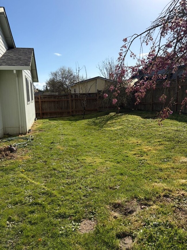 Foto del edificio - Ranch Style Home in Carlton