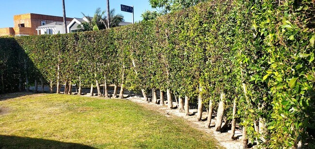 private backyard for this unity only - 12003 Marshall St