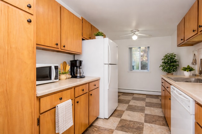 Interior Photo - Anthos at Vestal