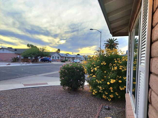 Clean orderly low traffic - 9600 W Peoria Ave