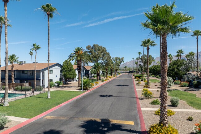Building Photo - Equinox on Prince Apartments