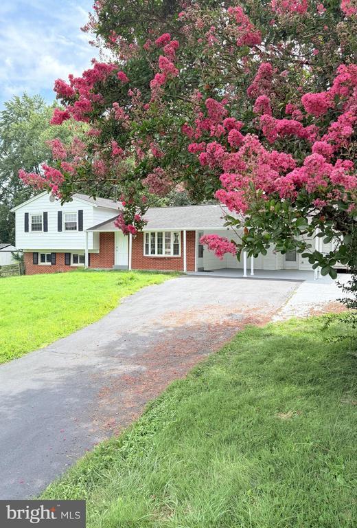 Building Photo - 17624 Wheat Fall Dr