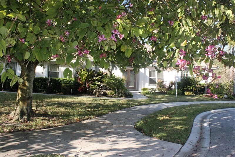 Foto del edificio - 8557 Greenside Ct