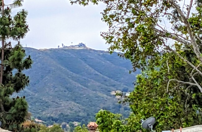 View from Living Room and Primary BR - 972 Woodlawn Dr