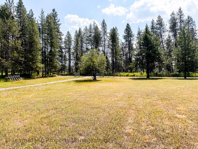 Foto del edificio - 317 E Elkhorn Meadows Rd