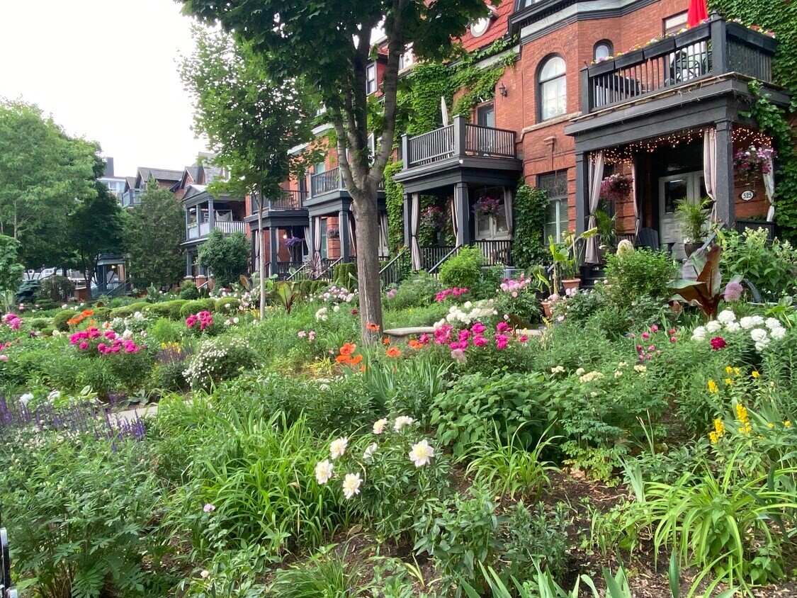 Primary Photo - 521 King Edward Av