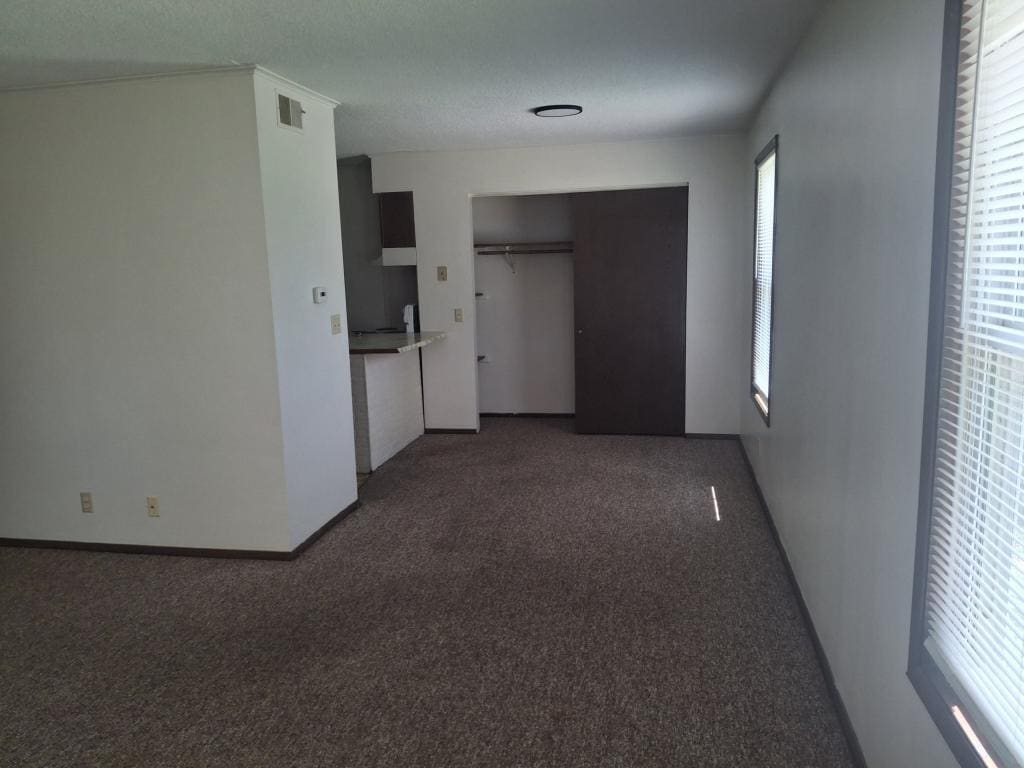 Building Photo - 224 Stevan Apt C Carmi IL 62821