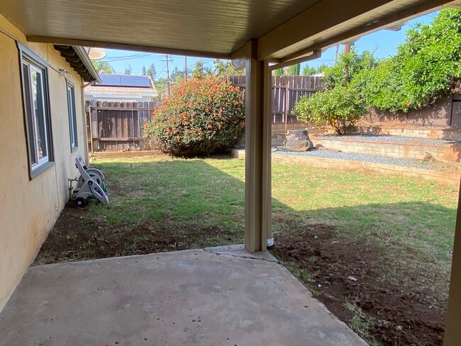 Back Yard - 1263 Bostonia St