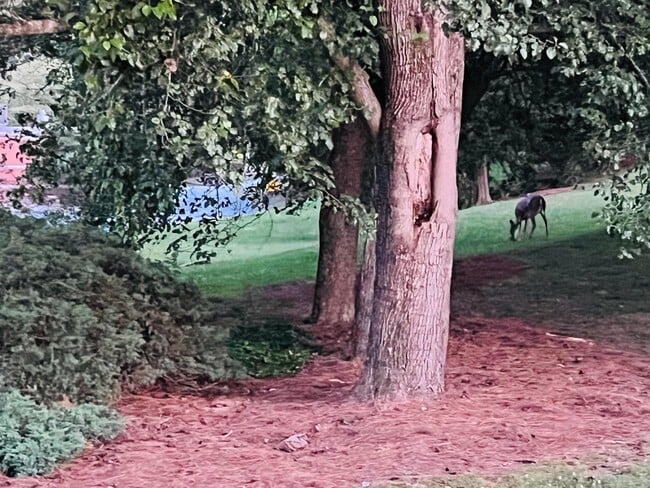 Photo - 574 Manning Rd SW House