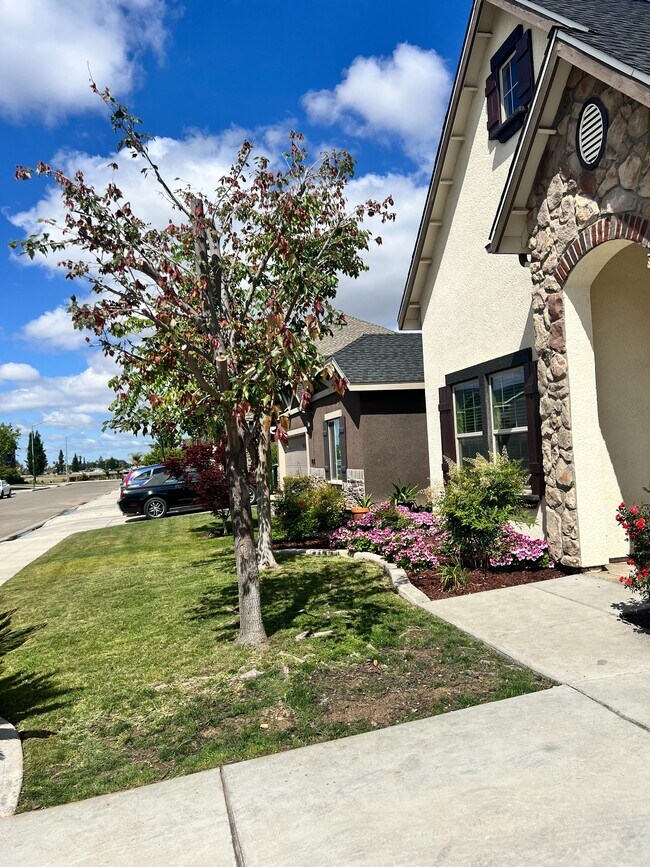 Front Lawn - 6187 E Pontiac Way
