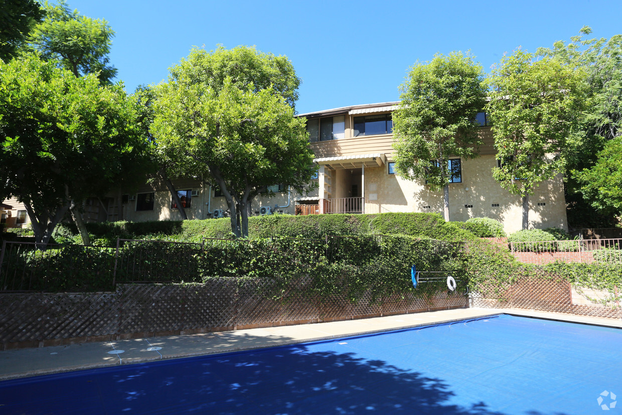 Pool - Prime Hollywood Hills