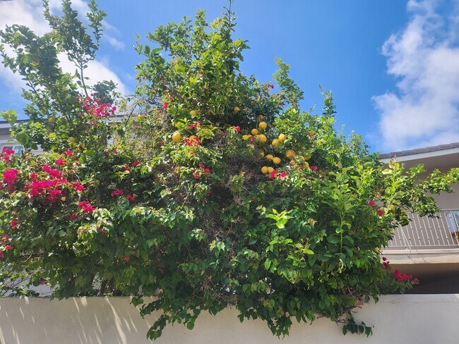 Foto del edificio - 2226 Mathews Ave