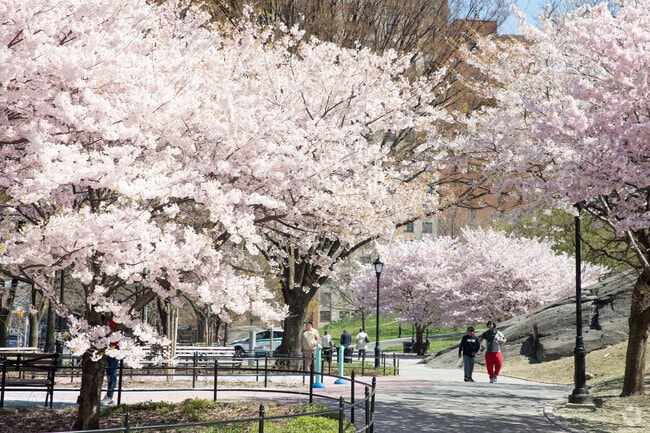 St. Mary's Park is the heart of Mott Haven.