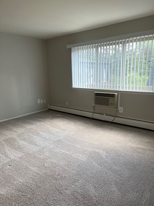 Foto principal - Charming 1 bedroom/1 bath near Downtown Rochester!