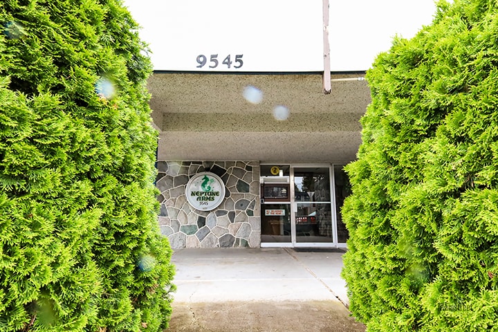 Primary Photo - College Manor Mainstreet Apartments