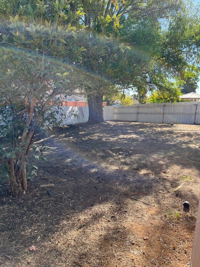 Large backyard - 1209 Kent Ave