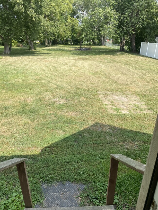 Large Backyard - 920 Hall St