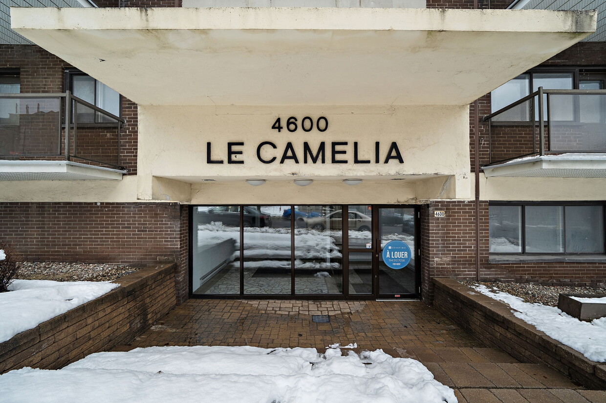 Photo principale - Le Camelia