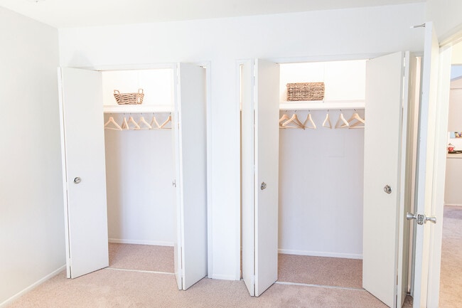 Reach-in Closets - Glencoe Hills
