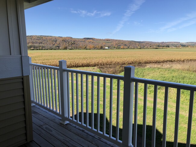 Building Photo - Residences at Hornell