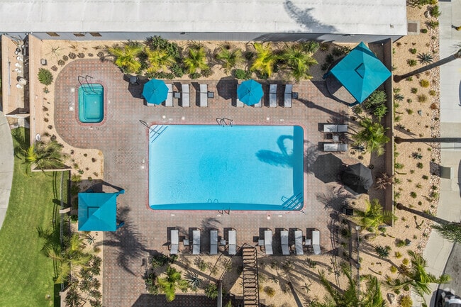 Piscina y spa - Highland Pinetree Apartments