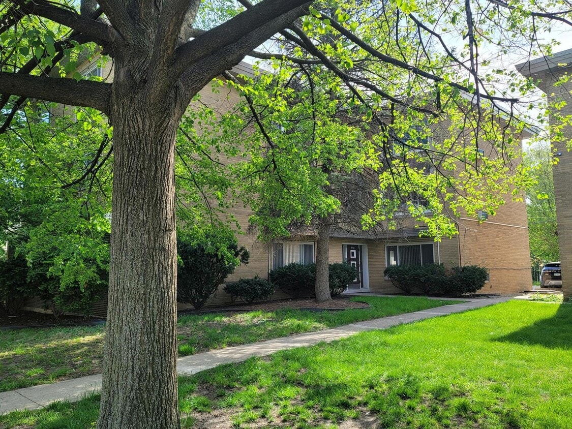 9722 S Kedzie Ave Unit 3E, Evergreen Park, IL 60805 Condo for Rent in Evergreen Park, IL