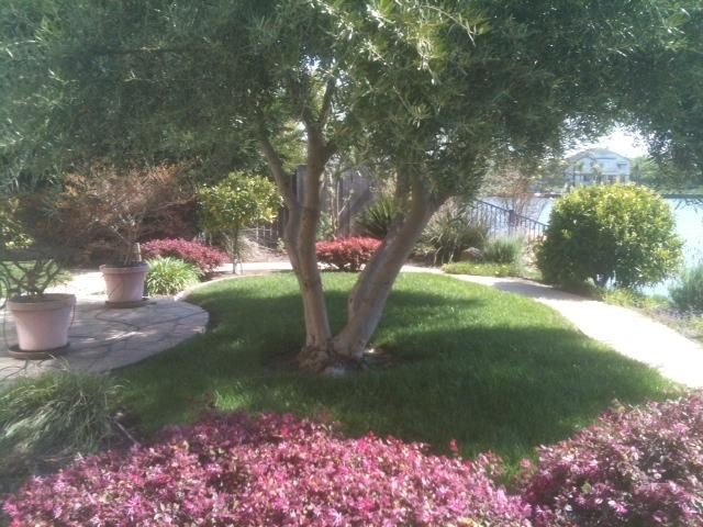 Foto del edificio - 3964 Pine Lake Circle